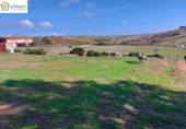 Suelo urbano en venta en la España, El Garrobo, ref: TR366248 foto