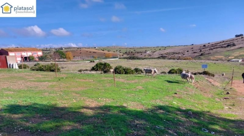 Seville - El Garrobo - 295m2