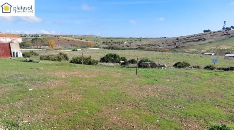 Seville - El Garrobo - 295m2