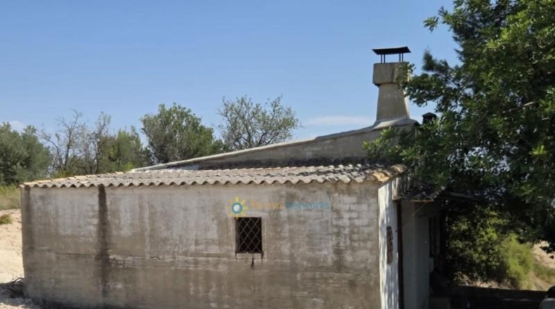 Valencia - Bélgida - 13175m2