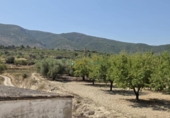 Casa de camp amb terreny en venda a la España, Bèlgida, ref.: TR323402 foto
