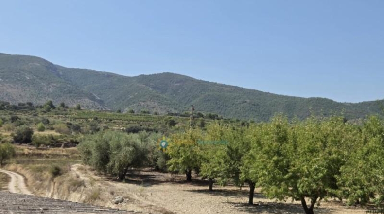 Valencia - Bélgida - 13175m2