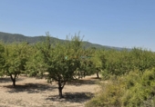 Casa de camp amb terreny en venda a la España, Bèlgida, ref.: TR323402 foto