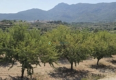 Casa de camp amb terreny en venda a la España, Bèlgida, ref.: TR323402 foto