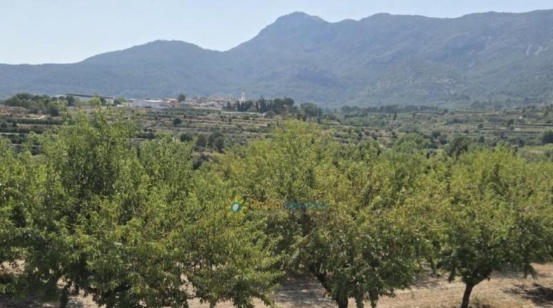 Valencia - Bélgida - 13175m2