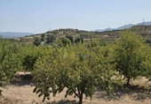 Casa de camp amb terreny en venda a la España, Bèlgida, ref.: TR323402 foto