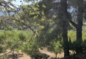 Casa de camp amb terreny en venda a la España, Bèlgida, ref.: TR323402 foto