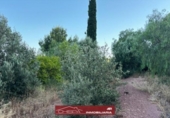 Suelo urbano en venta en la España, Náquera, ref: TR416420 foto