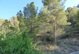 Foto 15