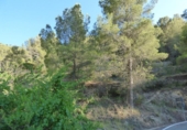 Casa de camp amb terreny en venda a la España, Relleu, ref.: TR416421 foto