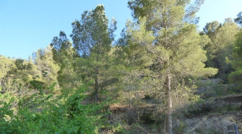 Alicante - Relleu - 14400m2