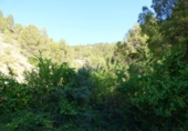 Casa de camp amb terreny en venda a la España, Relleu, ref.: TR416421 foto