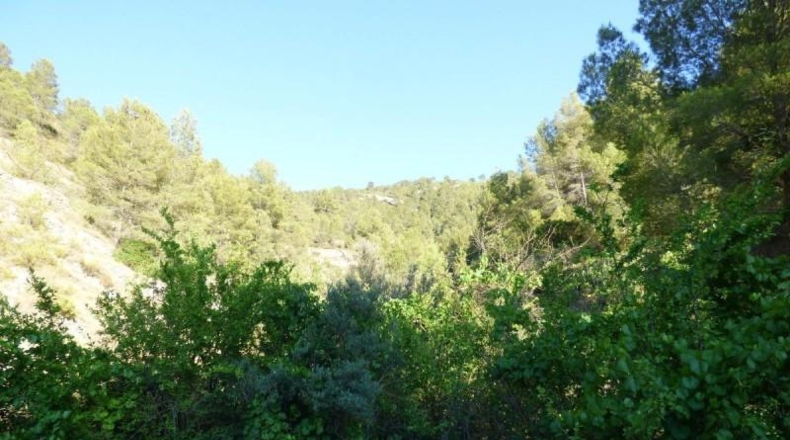 Alicante - Relleu - 14400m2