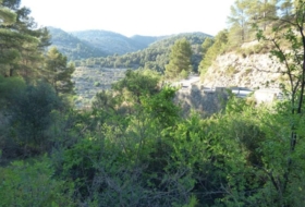 Foto 17
