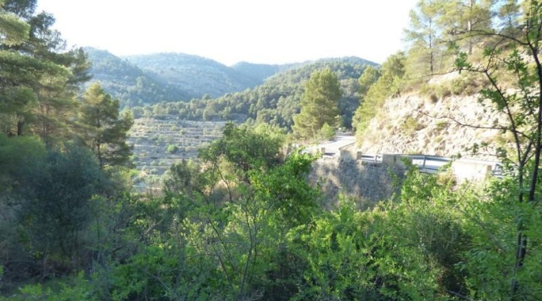 Alicante - Relleu - 14400m2