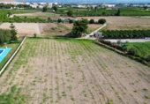 Terreno no urbanizable en venta en la España, Callosa de Segura, ref: TR416423 foto