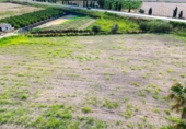 Terreno no urbanizable en venta en la España, Callosa de Segura, ref: TR416423 foto