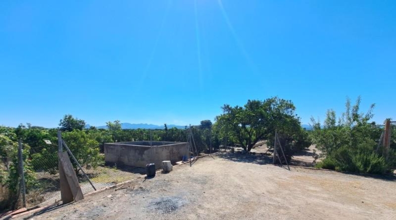 Valencia - Carcaixent - 11067m2
