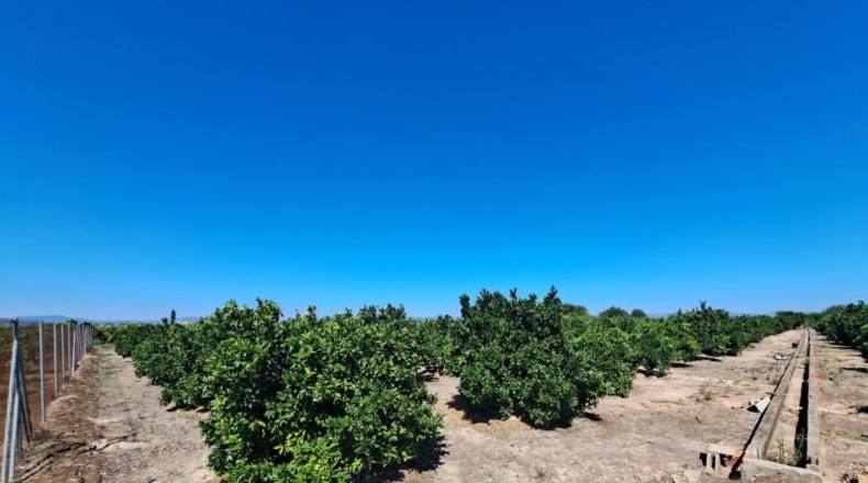 Valencia - Carcaixent - 11067m2