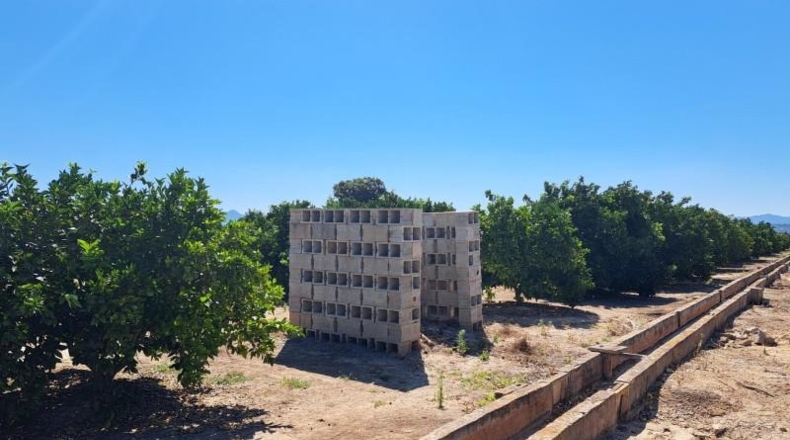 Valencia - Carcaixent - 11067m2