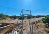 Terreno no urbanizable en venta en la España, Carcaixent, ref: TR416424 foto