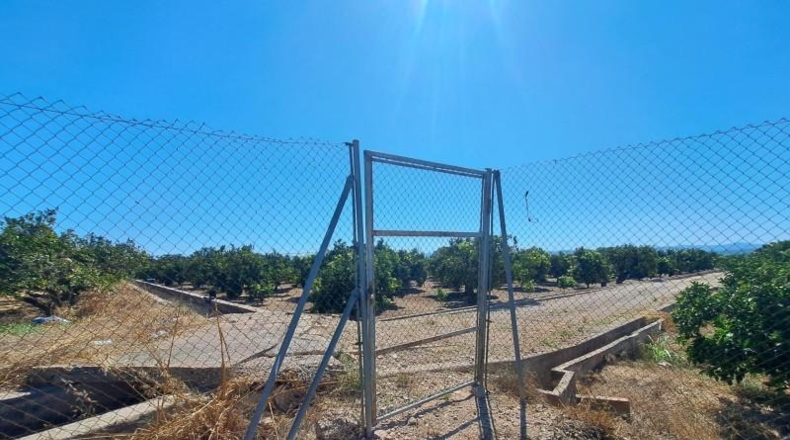 Valencia - Carcaixent - 11067m2