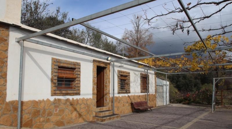 Granada - Granada - 3079m2