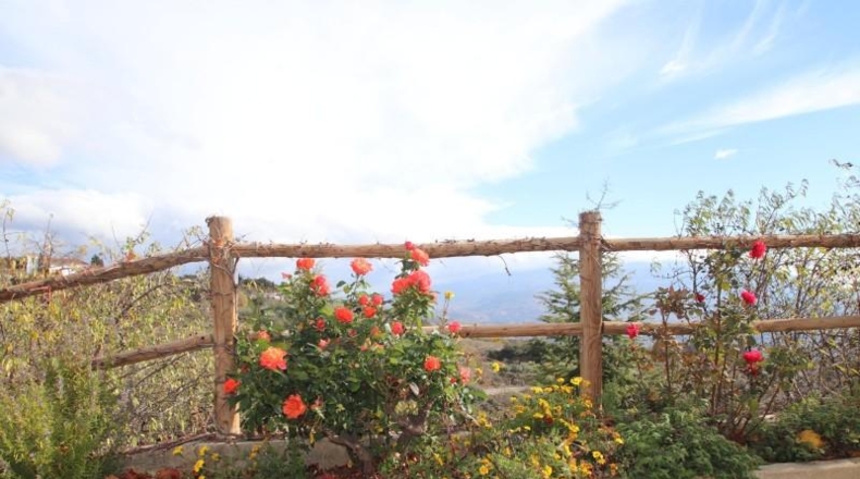 Granada - Granada - 3079m2