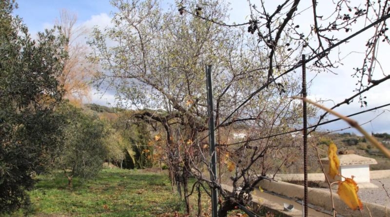 Granada - Granada - 3079m2