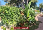 Country house with land for sale on España, Náquera, ref: TR416430 photo