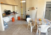 Casa de camp amb terreny en venda a la España, Elx, ref.: TR408118 foto
