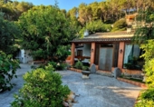 Detached villa with land for sale on España, Alzira, ref: TR416437 photo