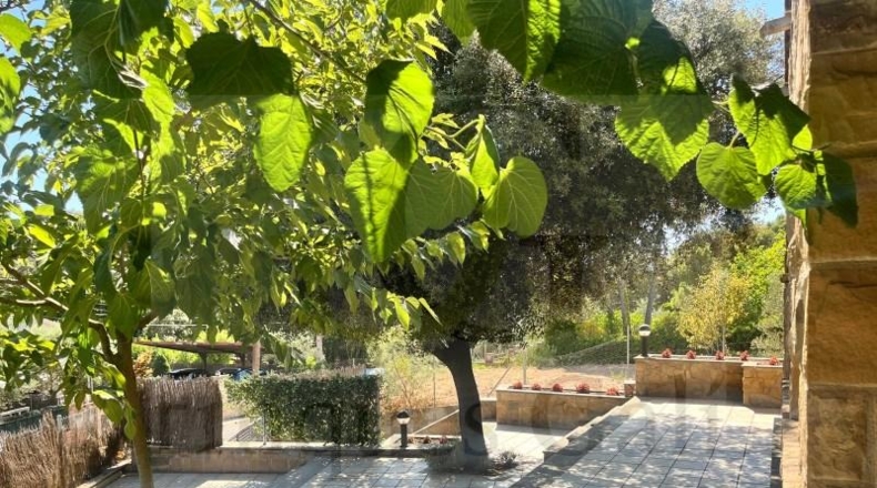 Barcelona - Castellnou de Bages - 690m2