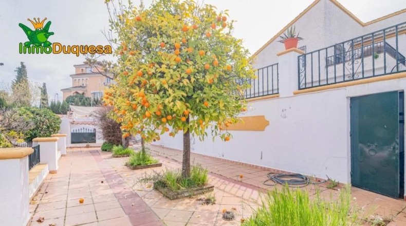Granada - Peligros - 542m2