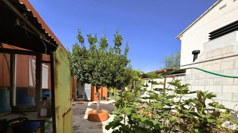 Alicante - Dénia - 795m2