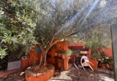 Xalet independent amb terreny en venda a la España, Dénia, ref.: TR416454 foto