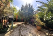 Xalet independent amb terreny en venda a la España, Dénia, ref.: TR416454 foto