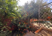 Xalet independent amb terreny en venda a la España, Dénia, ref.: TR416454 foto