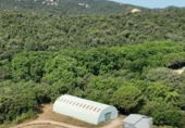 Casa de campo con terreno en venta en la España, Tossa de Mar, ref: TR326190 foto