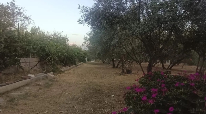 Granada - Albolote - 3800m2