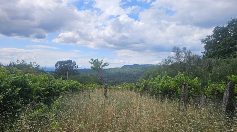 Orense - Nogueira - 600m2
