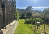 Terreny no urbanitzable en venda a la Carrer d'Olímpia, Sant Cugat del Vallès, ref.: TR416463 foto