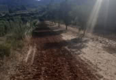 Masia with land for sale on Camí dels Mudèfers, Bot, ref: TR416464 photo