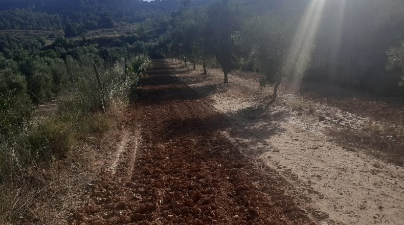 Tarragona - Bot - 22590m2