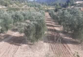 Masia with land for sale on Camí dels Mudèfers, Bot, ref: TR416464 photo