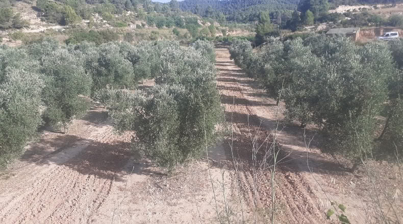 Tarragona - Bot - 22590m2