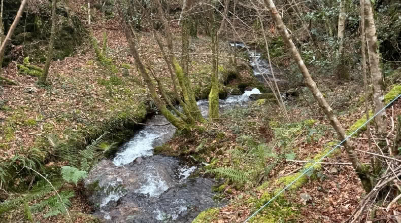 Asturias - Villayón - 25000m2