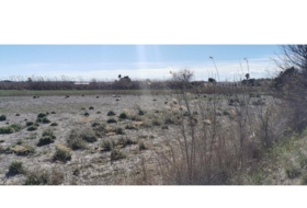 Elche 6338&nbsp;m²