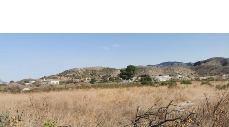 Alicante - Benferri - 5658m2