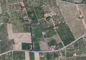 Non-developable land for sale on España, Corbera, ref: TR408358 photo